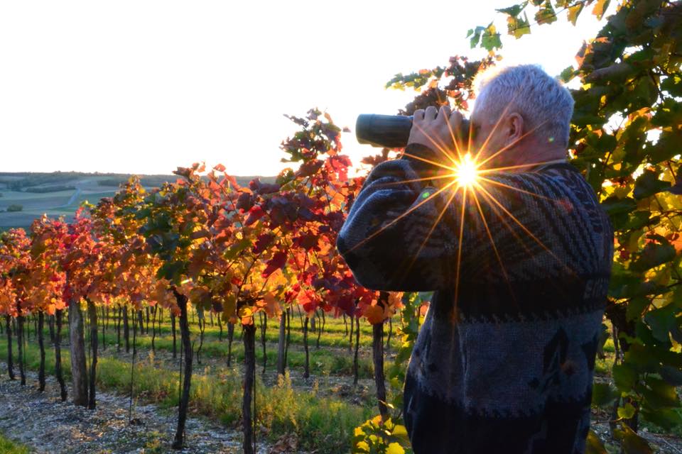 Ernst Scheuer, Wein, Winzerhof, Weinviertel, Sonnenuntergang