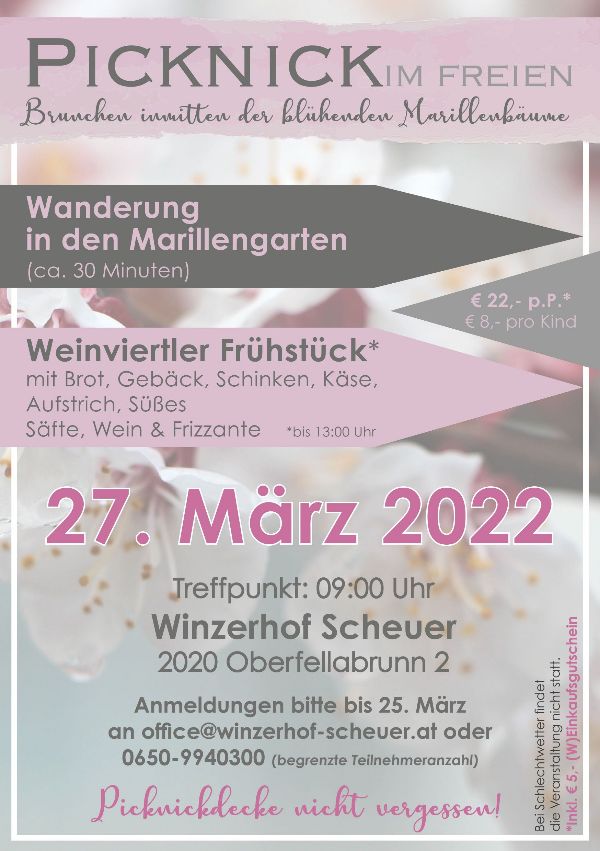 Picknick im Marillengarten